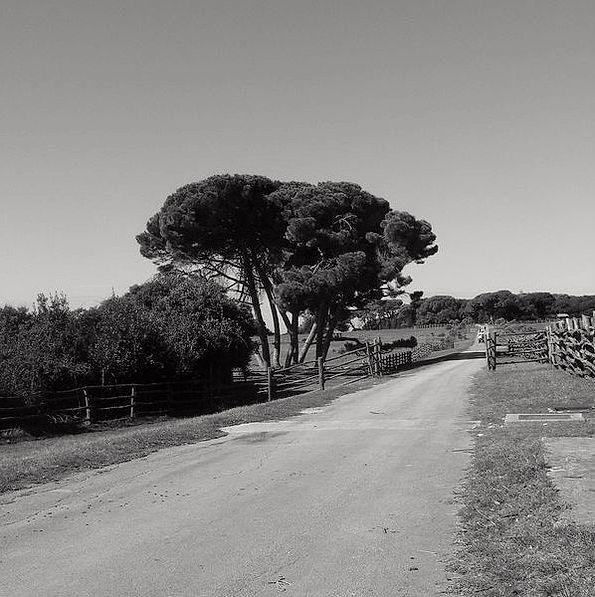 Ritratto dell'esperto di prodotti naturali